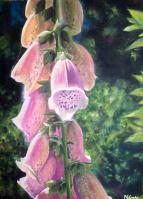 Flora - Roter Fingerhut - Digitalis purpurea - Malerei 40 x 30 x 5 cm