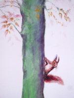 Fauna - Eichhörnchen am Baum - Wandmalerei - 2 x 1 m